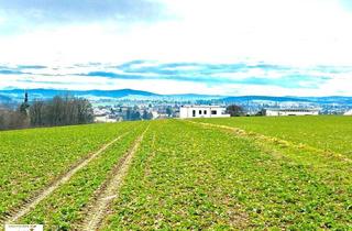 Grundstück zu kaufen in 4911 Tumeltsham, sonniges Baugrundstück mit Panoramablick über Ried i.I. in Ruhelage