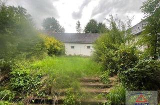 Haus kaufen in 3800 Scheideldorf, Günstiger Hof für Bastler im Waldviertel!