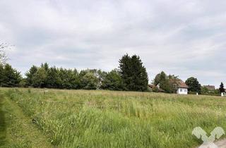 Grundstück zu kaufen in 8490 Bad Radkersburg, Baugrund vor den Toren der Thermenstadt Bad Radkersburg