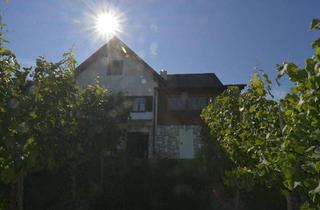 Gewerbeimmobilie kaufen in 8280 Fürstenfeld, Wein & Weitblick – Panoramalage mit Buschenschank!