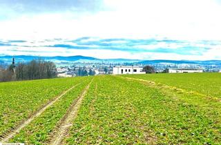 Grundstück zu kaufen in Ried I.i., 4911 Tumeltsham, sonniges Baugrundstück mit Panoramablick über Ried i.I. in Ruhelage
