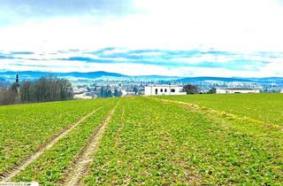 Grundstück zu kaufen in Ried I.i., 4911 Tumeltsham, sonniges Baugrundstück mit Panoramablick über Ried i.I. in Ruhelage
