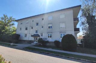 Wohnung kaufen in Eisenstadt, 7011 Siegendorf, Traumhafte, frisch renovierte Eigentumswohnung mit 2 Balkonen in Siegendorf - Ihr neues Zuhause!