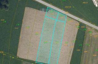 Grundstück zu kaufen in 4150 Rohrbach, Baugrundstück mit Entwicklungspotenzial – Ideal für Wohnbauprojekte