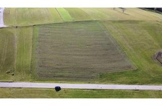 Grundstück zu kaufen in 4150 Rohrbach, Ihr Platz fürs Eigenheim – vier attraktive Baugrundstücke in Rohrbach