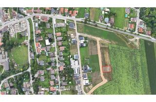 Grundstück zu kaufen in 2011 Sierndorf, 2011 Sierndorf/neu aufgeschlossenes Bauland: Ebenes Grundstück zu kaufen