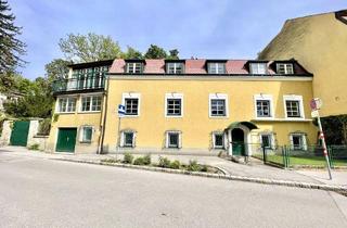 Haus mieten in 2500 Baden, CHARMANTE STADTVILLA MIT TERRASSE IN DER KURSTADT BADEN - ZU FUSS ZUM KURPARK, RÖMERTHERME, CASINO UND HAUPTPLATZ