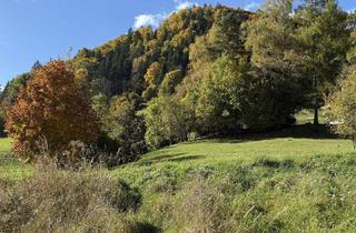 Grundstück zu kaufen in 8940 Weißenbach bei Liezen, Grundstück in Weißenbach bei Liezen