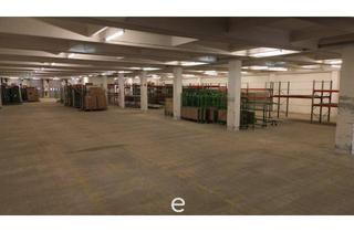 Büro zu mieten in 3500 Krems an der Donau, Lagerhalle mit Büro in Krems zu vermieten! Provisionsfrei !