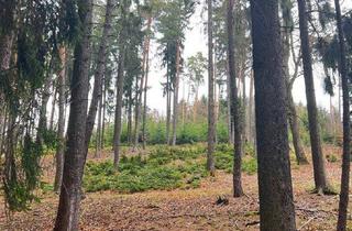 Gewerbeimmobilie kaufen in 3100 Sankt Pölten, 140 ha Eigenjagd inmitten von Niederösterreich