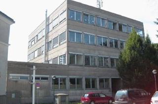 Büro zu mieten in Leithagürtel, 2460 Bruck an der Leitha, Zentrumsnahe Büroflächen
