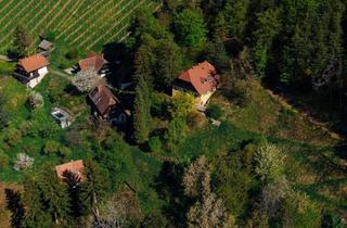 Villen zu kaufen in Kranachberg, 8462 Gamlitz, Außergewöhnliche Liegenschaft im Weinparadies - Ihre Visionen werden Realität!