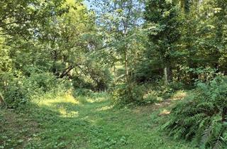 Grundstück zu kaufen in 8051 Graz, Grundstück für Freigeister in idyllischer Waldlage