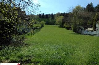 Grundstück zu kaufen in 2393 Sittendorf, Grundstück mit Weitblick unweit von Mödling
