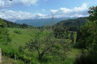 Grundstück zu kaufen in 9712 Fresach, Grundstück in Fresach Oberkärnten Region Millstätter See nähe Spittal