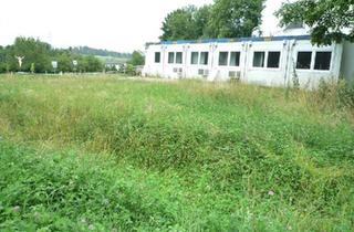 Grundstück zu kaufen in 4904 Atzbach, Eckparzelle Baugrund