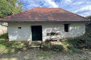 Immobilie kaufen in 2020 Hollabrunn, Presshaus mit Weinkeller - Privatverkauf