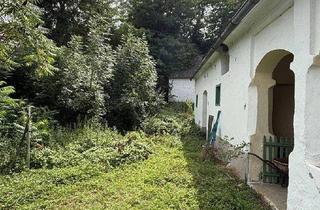 Bauernhäuser zu kaufen in 7374 Weingraben, Grundstück mit altem, verwilderten Hausbestand