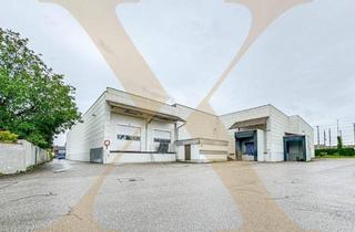 Gewerbeimmobilie kaufen in 4600 Wels, Lagerhalle samt Büros in verkehrstechnisch optimaler Lage in Wels zu verkaufen! Gleisanschluss vorhanden!
