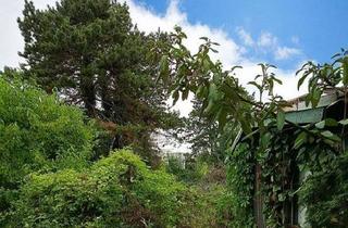Grundstück zu kaufen in 2232 Deutsch-Wagram, Tolles Baugrundstück mit Gartenhaus