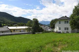 Grundstück zu kaufen in 5300 Hallwang, Bezaubernder Baugrund am nördlichen Stadtrand von Salzburg