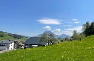 Grundstück zu kaufen in 4814 Altmünster, Vielseitiges Grundstück: Ideal für Anleger, Bauträger oder den Traum vom Eigenheim!