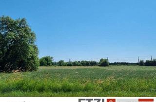 Einfamilienhaus kaufen in 4775 Taufkirchen an der Pram, Neues Wohnen: Ihr Traumhaus in Taufkirchen/Pram ab € 379.725,-