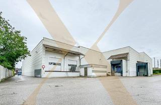 Lager kaufen in 4600 Wels, Lagerhalle samt Büros in verkehrstechnisch optimaler Lage in Wels zu verkaufen! Gleisanschluss vorhanden!