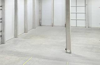 Lager mieten in 2282 Markgrafneusiedl, Moderne Lagerfläche ideal für ruhige Paletteneinlagerung
