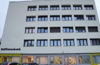 Wohnung mieten in Kirchenstrasse 8, 3032 Eichgraben, Neu renovierte Wohnung mit Einbauküche