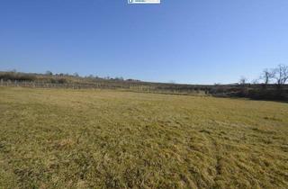 Grundstück zu kaufen in 3491 Straß im Straßertale, Wunderschönes Grundstück mit Fernblick in die Weinberge in Straß im Straßertale