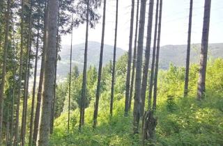 Gewerbeimmobilie kaufen in 8685 Steinhaus am Semmering, Wald in Steinhaus