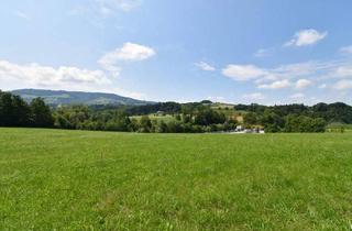 Grundstück zu kaufen in 4441 Badhof, Wohnen im Grünen & doch stadtnah! 881m² Baugrund mit traumhaftem Ausblick in ruhiger/grüner Lage!