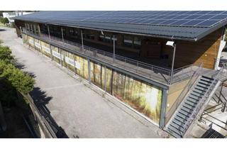 Gewerbeimmobilie kaufen in Neckreith, 5163 Palting, #Halle #Schauraum #Büro #Werkstatt #Lager #Salzburg in 30 Minuten #JETZT KAUFEN!