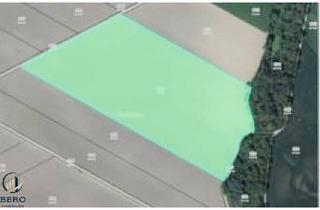Agrarfläche kaufen in 2444 Seibersdorf, Traumhaftes Ackerland in Seibersdorf – 38.163 m² Landwirtschaftsfläche zum Kauf!