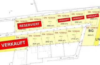 Grundstück zu kaufen in Ruhstetten, 4223 Katsdorf, Grundstück 1239/32 - 868 m² BG + 1499 m² LN