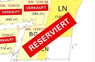 Grundstück zu kaufen in Ruhstetten, 4223 Katsdorf, Grundstück 1239/32 RESERVIERT