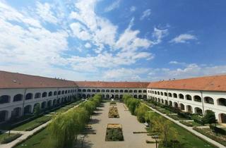 Wohnung mieten in 7100 Neusiedl am See, Atemberaubendes Ambiente und unendlich viel Platz! Haus 5 Top 19