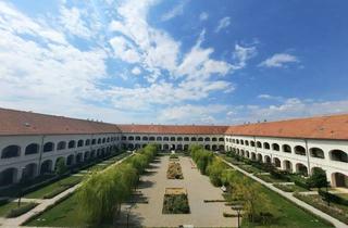 Wohnung mieten in 7100 Neusiedl am See, Atemberaubendes Ambiente und unendlich viel Platz! Haus 5 Top 19