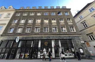 Wohnung kaufen in Dorotheergasse, 1010 Wien, 4-Zimmer-Wohnung in super Lage des 1. Bezirks - befristet vermietet!