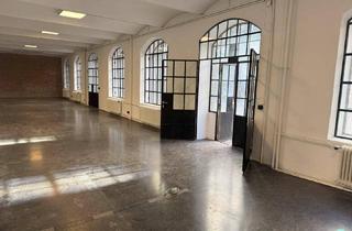 Geschäftslokal mieten in 1060 Wien, Loft zur gewerblichen Nutzung im 6. Bezirk - viel Raum für Kreativität und Ruhe ( Top 2 )