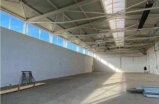 Gewerbeimmobilie kaufen in 8280 Fürstenfeld, **Hallen mit Industriewidmung** auch für Schwerverkehr geeignet**Top Anbindung an S7 und Südautobahn**