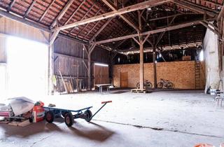 Gewerbeimmobilie mieten in 4501 Neuhofen an der Krems, Lagerflächen zu Mieten in Neuhofen an der Krems