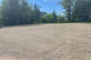 Grundstück zu kaufen in 9311 Kraig, ebener Baugrund, sonnig mit Privatsphäre