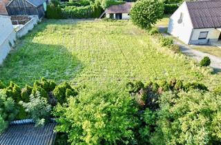 Grundstück zu kaufen in 2421 Kittsee, Großzügiges Grundstück mit Altbestand in Kittsee, Bezirk Neusiedl am See