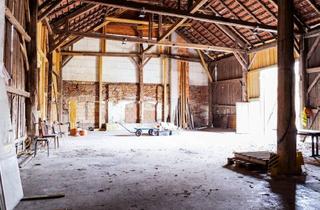 Lager mieten in 4501 Neuhofen an der Krems, Vielseitig nutzbare Fläche zur Miete - ideal als Lager, Werkstatt oder Garage!