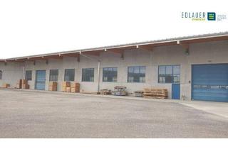 Büro zu mieten in 3125 Statzendorf, Moderne Produktionshalle nähe Herzogenburg - optional mit Bürohaus!