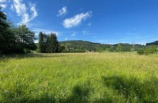 Gewerbeimmobilie kaufen in 9535 Schiefling, Schöne landwirtschaftliche Flächen mit 3.208m² - Nähe Hafnersee - Kein Baugrund!