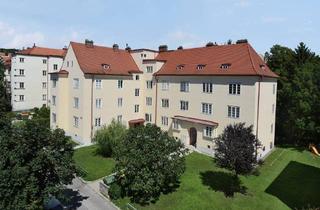 Wohnung mieten in Ignaz-Till-Straße, 7000 Eisenstadt, günstige 1-Zimmer-Wohnung in Grünruhelage