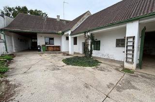 Bauernhäuser zu kaufen in 2183 Neusiedl an der Zaya, BAUERNHAUS - DAS GEFÜHL MIT DER NATUR LEBEN
